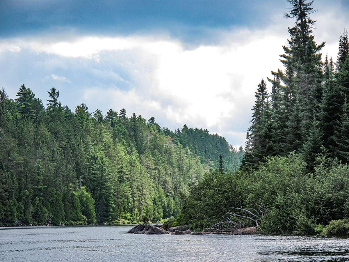 Pagaie-Parcours de la Haute Kipawa | Canot | Accès Plein Air