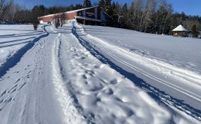 4Cee2F99 A977 4C7E B23E 48Afc6D86942