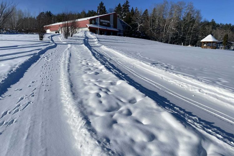 4Cee2F99 A977 4C7E B23E 48Afc6D86942