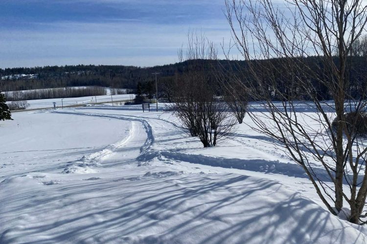 7E2E27A8 6B83 4990 A584 7Af3050Dea63