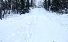 9E22D9B5 940F 484A 95C7 63E5Fc0B6F14