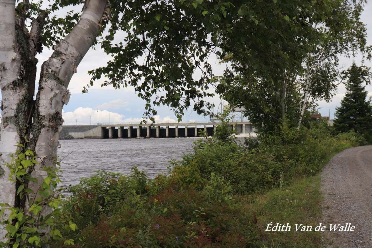Site ornithologique du barrage d'Angliers | Ornithologie | Accès Plein Air
