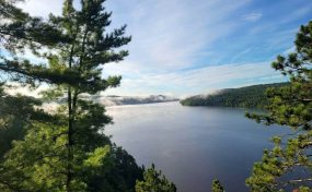 158Fdb75 Bad5 4767 8385 296779B7A440