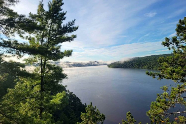 158Fdb75 Bad5 4767 8385 296779B7A440