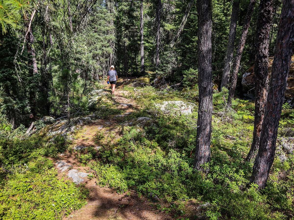 Parc de la PointeauxRoches Randonnée pédestre Accès Plein Air