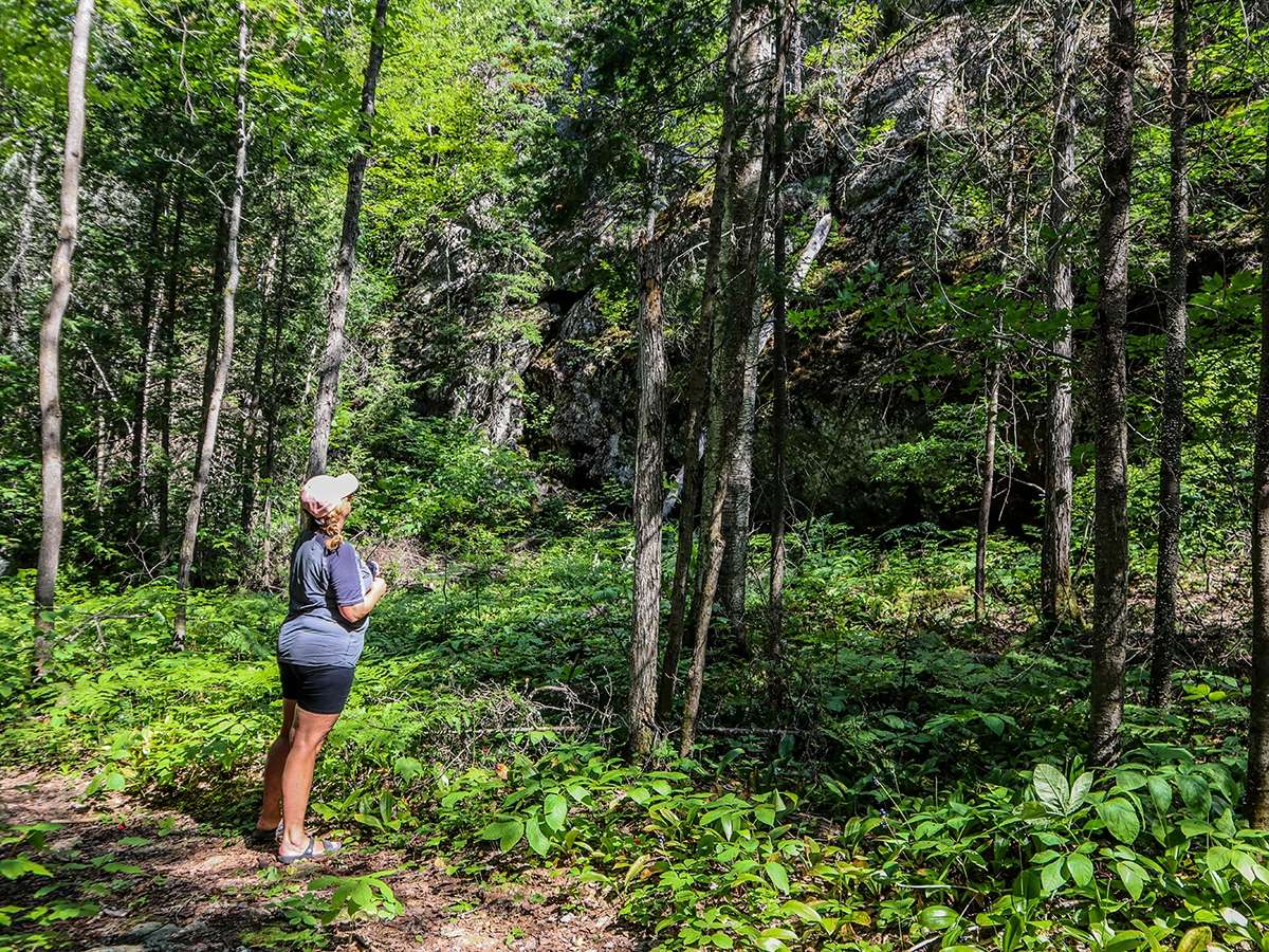 Parc de la PointeauxRoches Randonnée pédestre Accès Plein Air