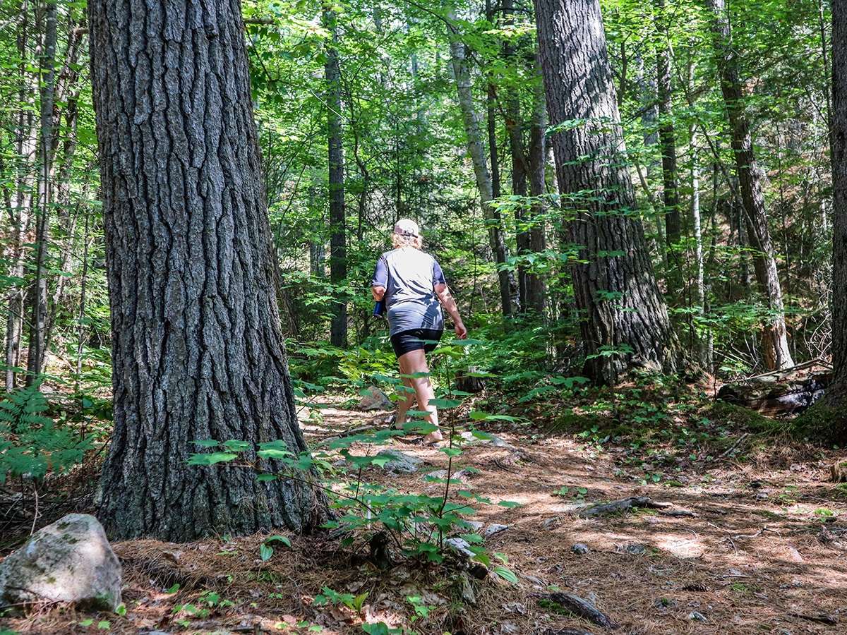 Sentiers pédestres PointeauxRoches Hiking Access to Outdoors