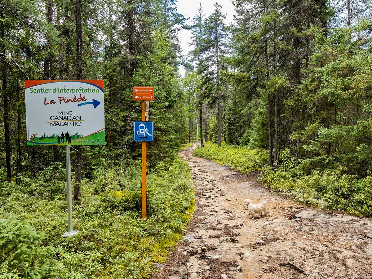 Sentier de la nature | Randonnée pédestre | Accès Plein Air
