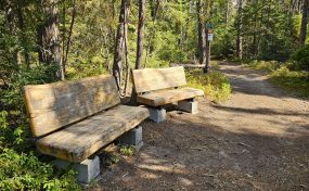 Sentier Nature Sp 01