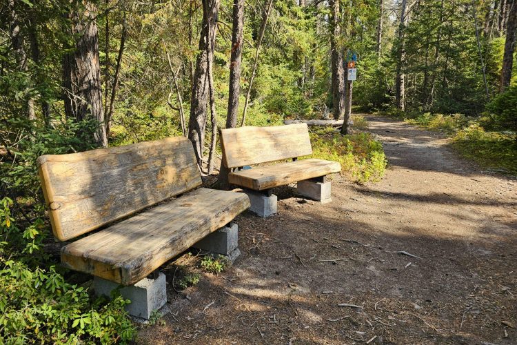 Sentier Nature Sp 01