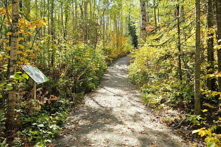 Sentier Nature Sp 03