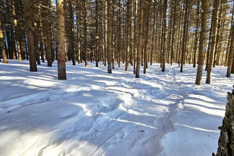 Raquette Rebouldingue 02