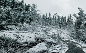 312648Ab E74D 4Bac 8317 5D59C137E2D9