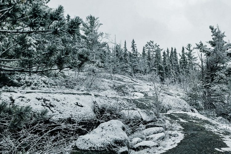 312648Ab E74D 4Bac 8317 5D59C137E2D9