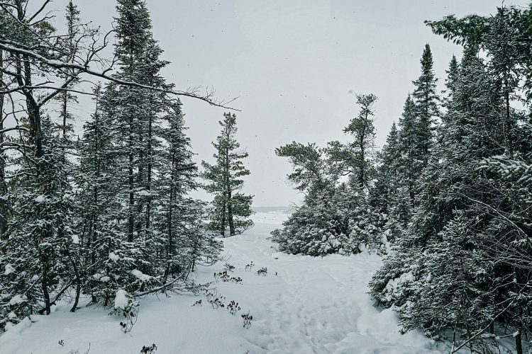 C75Fa25F 7Adf 445C 92Fb 7949A0Db8B65