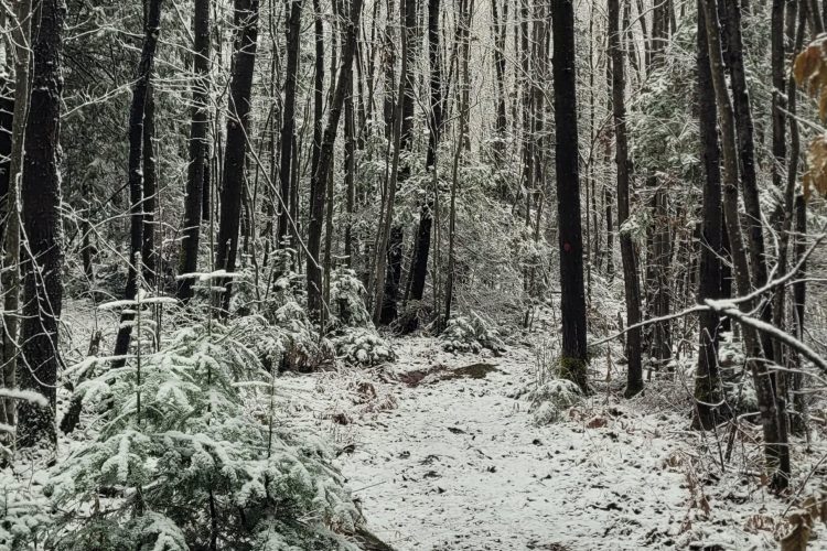 D283911B C417 48D0 A85E 23Cb4F52E403 1