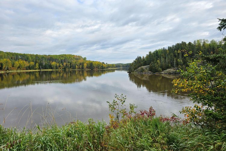 Rapide Danseur Lpn 03