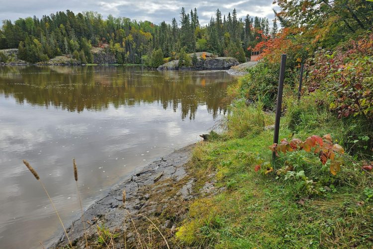 Rapide Danseur Lpn 04