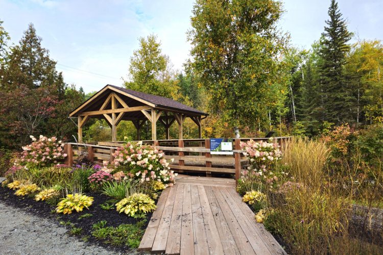 Passerelle Des Rapides Lpn 01