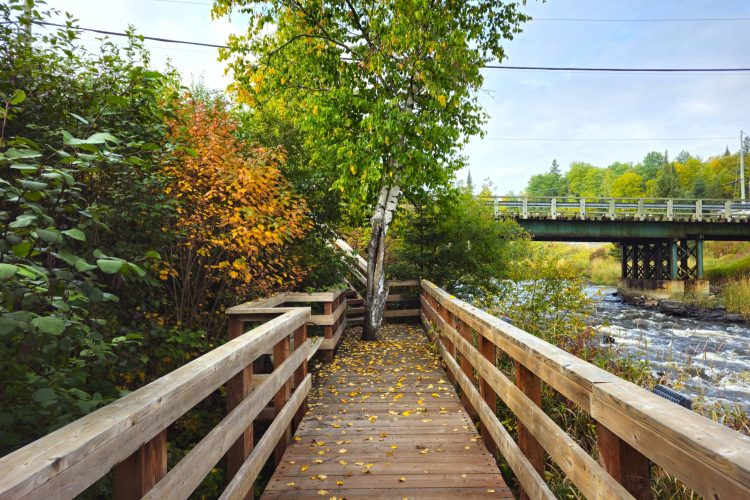 Passerelle Des Rapides Lpn 04