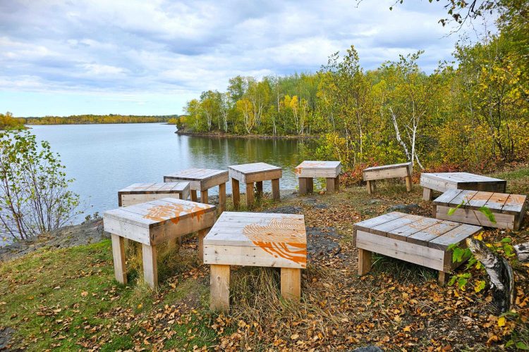 Halte Pereault Lpn 02