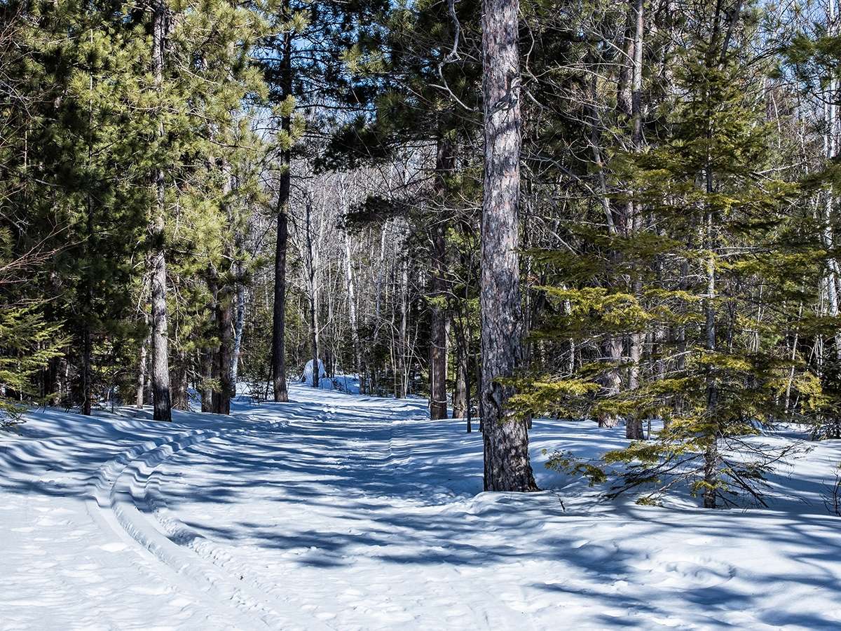 Sentiers récréatifs d'hiver de DuhamelOuest Ski de fond Accès
