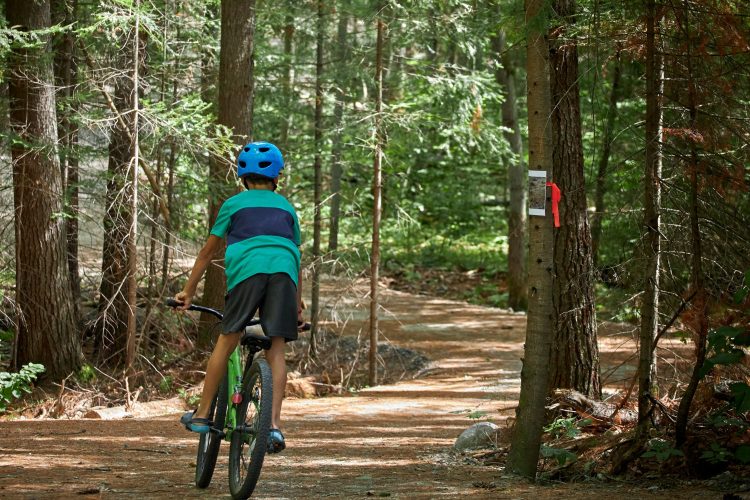 Parc National Dopemican Ete2019© Louis Jalbert Tat 496